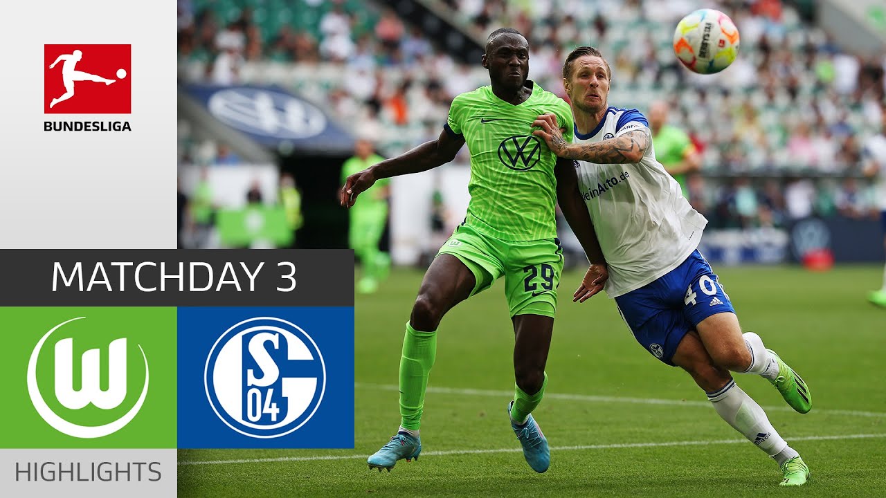 VfL Wolfsburg vs Schalke 04 highlights