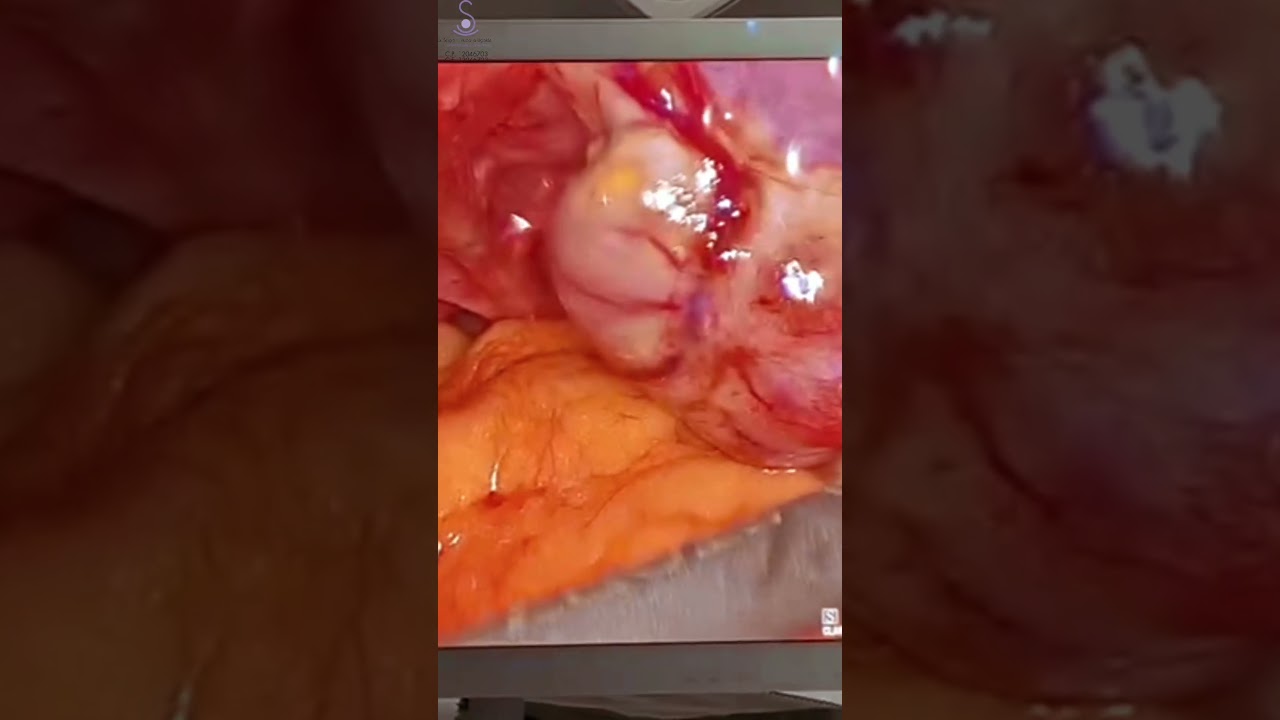 Sergio Hugo Vizcarra Ugalde-24