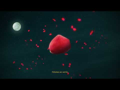 pétalas ao vento - dreko (prod. Sub) | (Lyric video)