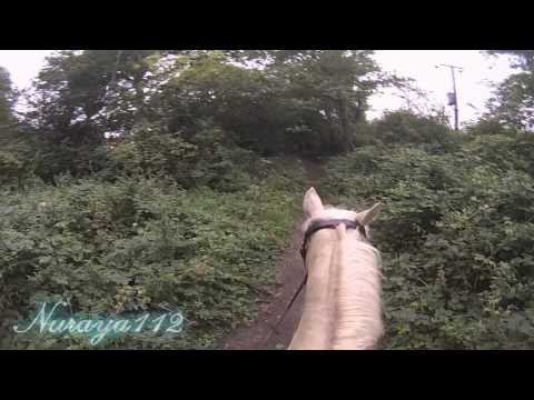 The Hacking Diaries- Part 5- Gallops and exploring!