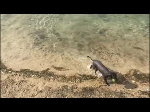 Dorperheide 3 Juni 21