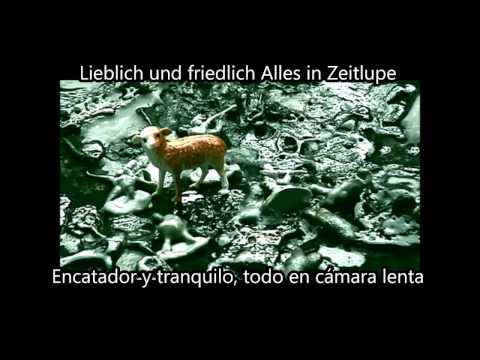 Goethes Erben - Nichts Bleibt wie es War (Alemán/Español)