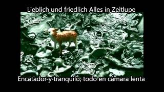 Goethes Erben - Nichts Bleibt wie es War (Alemán/Español)