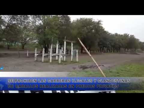 MUNICIPALIDAD DE LA CALERA PROHIBE CARRERAS DE CABALLOS ILEGALES