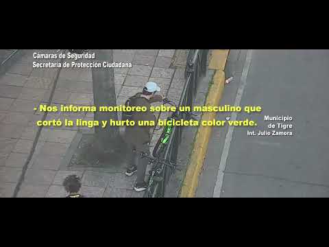 Las cámaras del COT detectaron un ilícito en Tigre centro: un individuo quedó detenido por el hecho