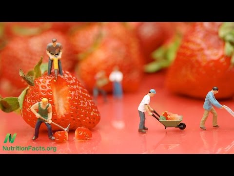 Do Vegetarians Get Enough Protein