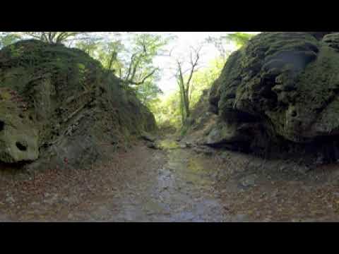 Forest River VR 360 3D