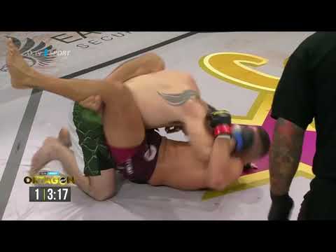 Attila Vegh vs Travis Fulton full fight