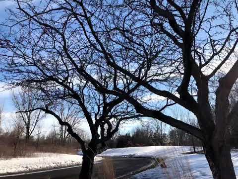 Winter in Eagan, Minnesota