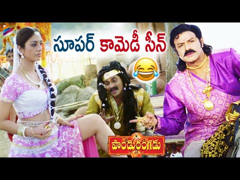 Pandurangadu Movie Best Comedy Scene | Balakrishna | Tabu | Mohan Babu | Sunil | Brahmanandam | TFN