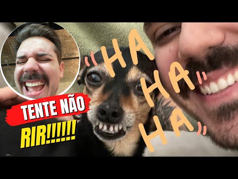 Bica's Bad Joke Sequence