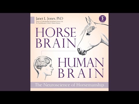 Chapter 4.7 - Horse Brain, Human Brain