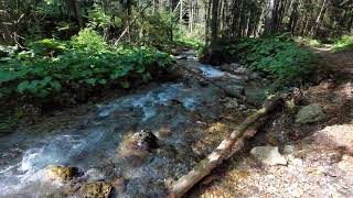 Raul din V. Glajariei de lângă cabana Diham