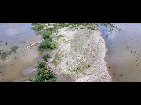 Drava LIFE project - Biodiversity