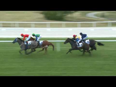 2017.08.06. 5. futam - NYÁRI HENDIKEP (I.o.)