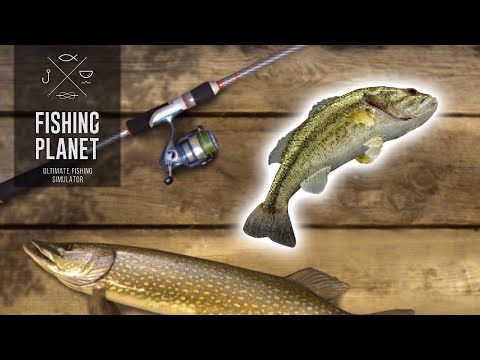 Bo Explains: How to get the BASSY BAIT in 2 minutes or LESS! | Fishing Planet