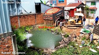 New ProjectCrocodile pond project with 100% !!! water, size 6M X  12M  By Dump mTruck 5T & BULLDOZER