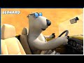 Bernard Rides Bernard 115 Compilation