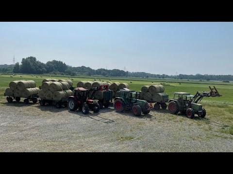 Farmvlog #193 | Ballen Ballet