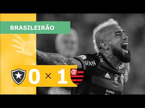 Botafogo 0 x 1 Flamengo - Gol - 28/08 - Campeonato Brasileiro 2022