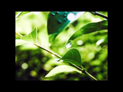 Relaxing Ambient Music - 