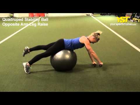 Quadruped Stability Ball Opposite Arm Leg Raise