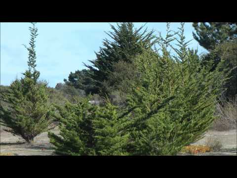 CSUMB Doubles - Part 1