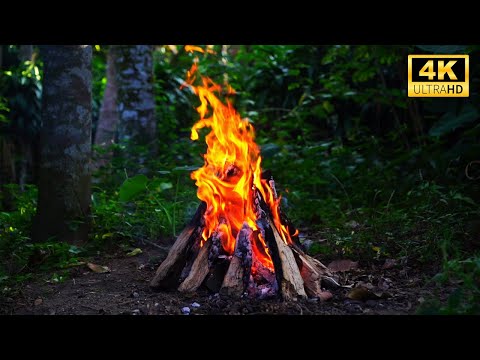 4K UHD Sunset Campfire by the River - Live Relaxing Crackling Fire & Nature Sounds (High Quality)