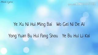 赵鑫 Zhao Xin   许多年以后 Xu Duo Nian Yi Hou | Pinyin Lyrics