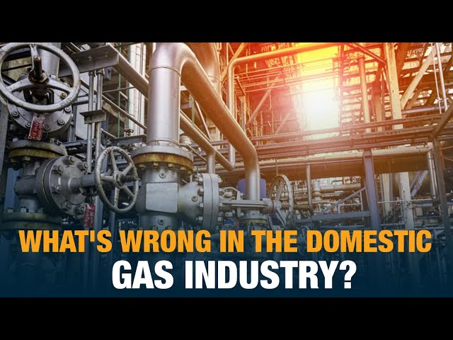 What's wrong in the domestic gas industry?