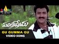 Pavitra Prema Video Songs Gu Gumma Video Song Balakrishna Laila Roshini Sri Balaji Video