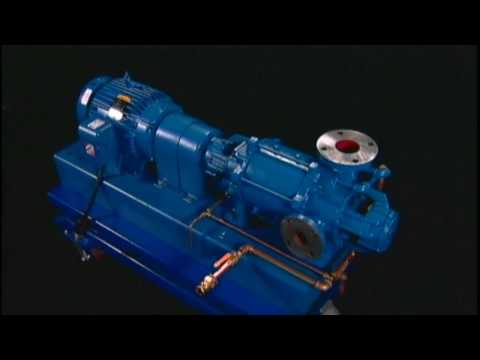 NASH Liquid Ring Vacuum Pump - How It Works