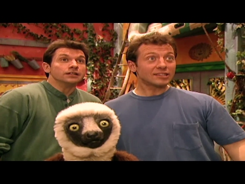 Zoboomafoo 101 - The Nose Knows | HD | Full Episode