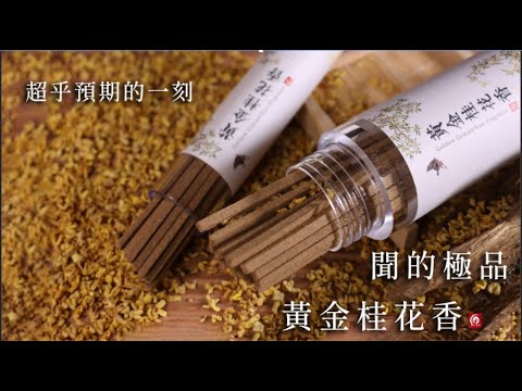 桂花 招貴人