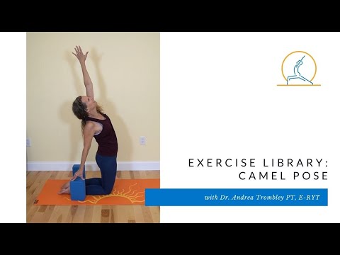 Exercise Library: Camel Pose