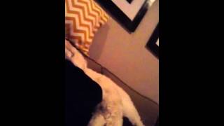 Make yourself comfortable