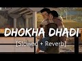 Dhokha Dhadi [Slowed+Reverb] | Arijit Singh | Lofi | Textaudio