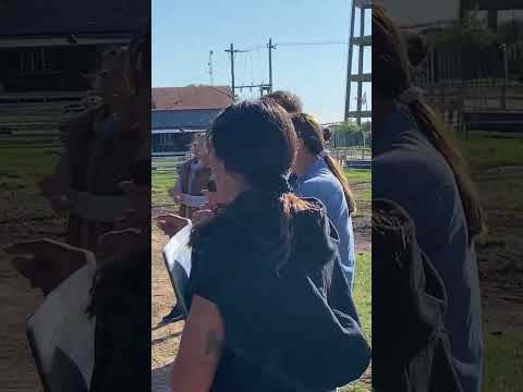 Médico Veterinario Nicolas Welschen del INTA Rafaela dictando curso de crianza de terneros.