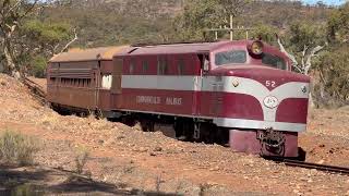 Steel and Sulzer: The First Afghan Express of 2025!