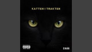 Katten i trakten