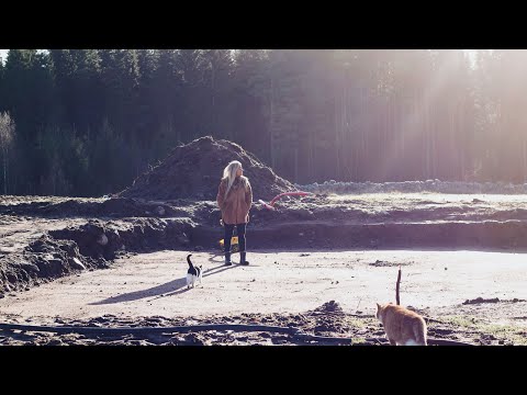 Köksträdgården blir söndergrävd. Hur går det med husbygget? Och mycket jobb hos kossera - Vlogg 102