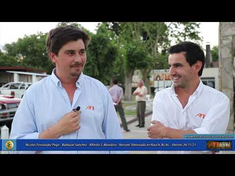 26-11-21 - Nicolas Fernadez Pego - Baltazar Sanchez - Alfredo S. Mondino .  Remate TV en Rauch, BsAs