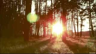 BMG Atmosphere - Summer Haze