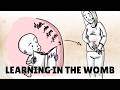 Prenatal Development What Babies Learn In The Womb
