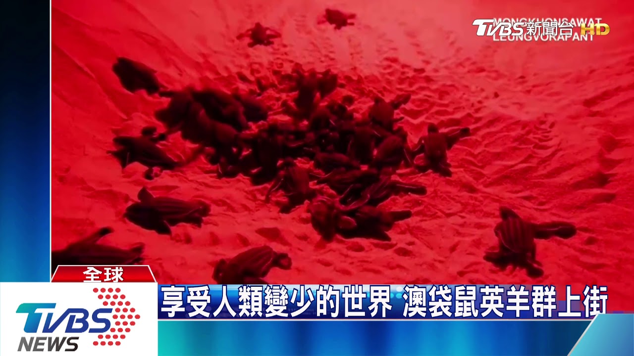 衛星看疫情前後世界　街道冷清人車稀少