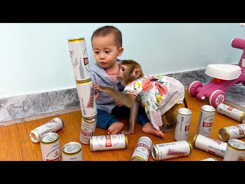 Monkey Kaka and Diem play beer arrangement very interesting