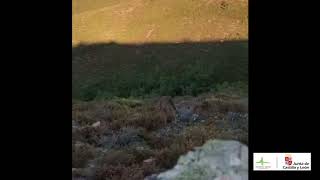 Encuentros en la Naturaleza de CyL