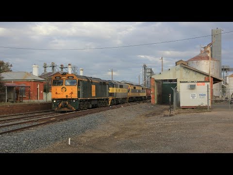 Alco & Triple Streamliner lead SSR empty Grain Train