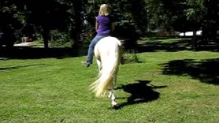 preview picture of video '#004 (12.3) Kristen Riding Lemondrops- No Saddle - Halter - Leadrein'