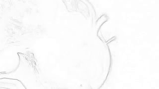 Madeline Taylor Clark Gray is mean